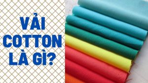 Vải cotton là gì Ưu, nhược điểm và cách nhận biết